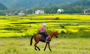 Ӣ�ĸ���;�¹�Ů��