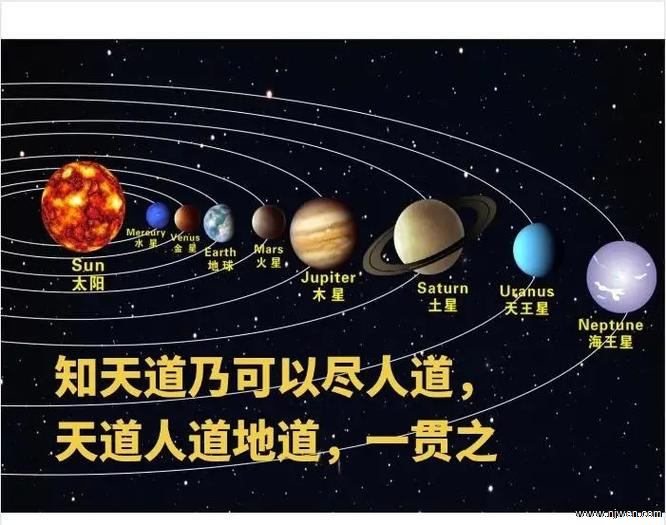 ����鿴��Ƭ